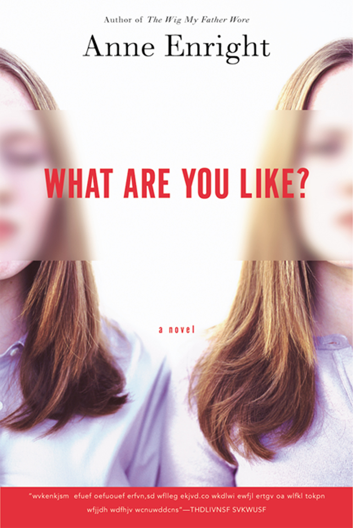 What Are You Like? By Anne Enright