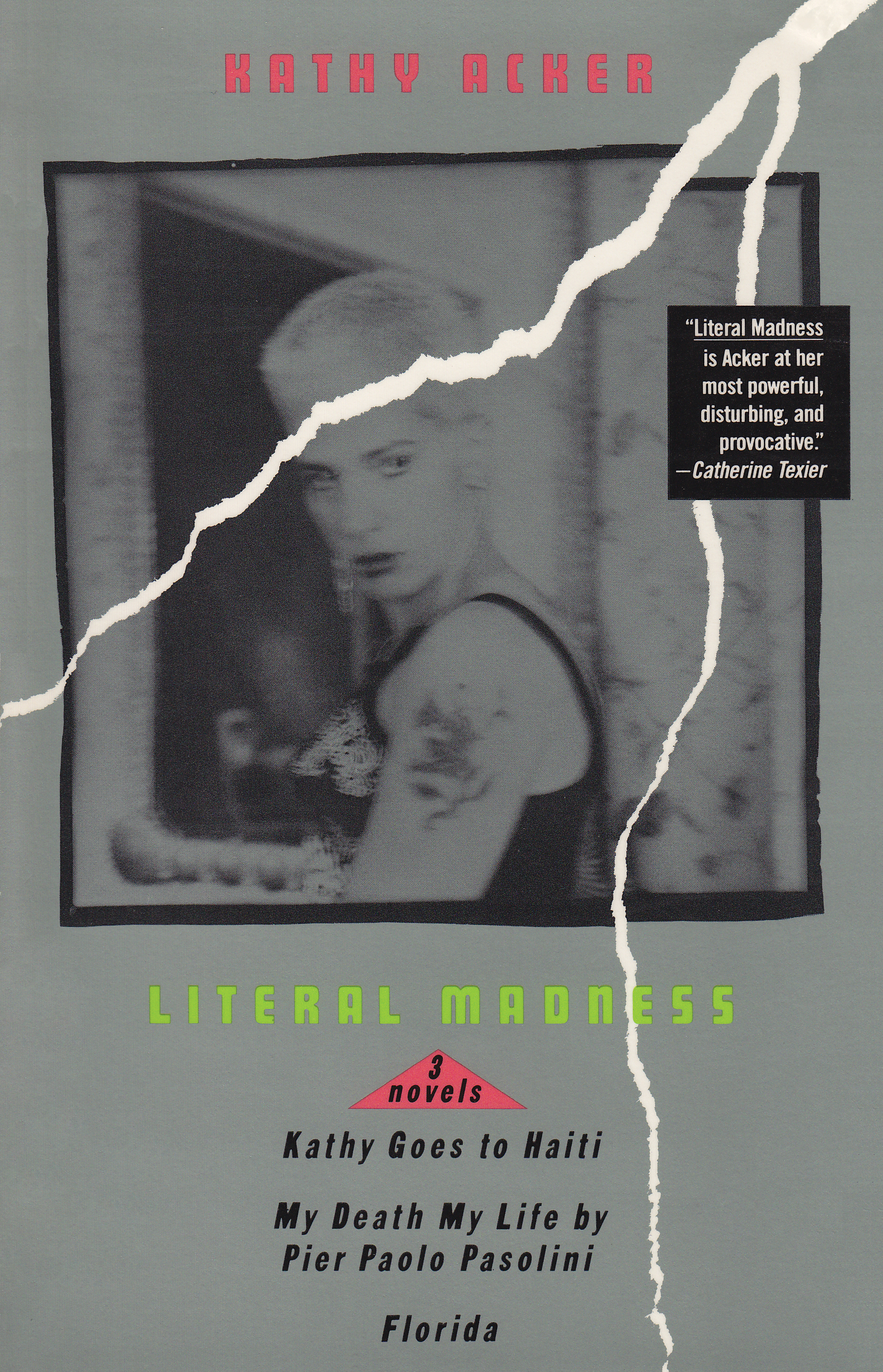 Literal Madness By Kathy Acker