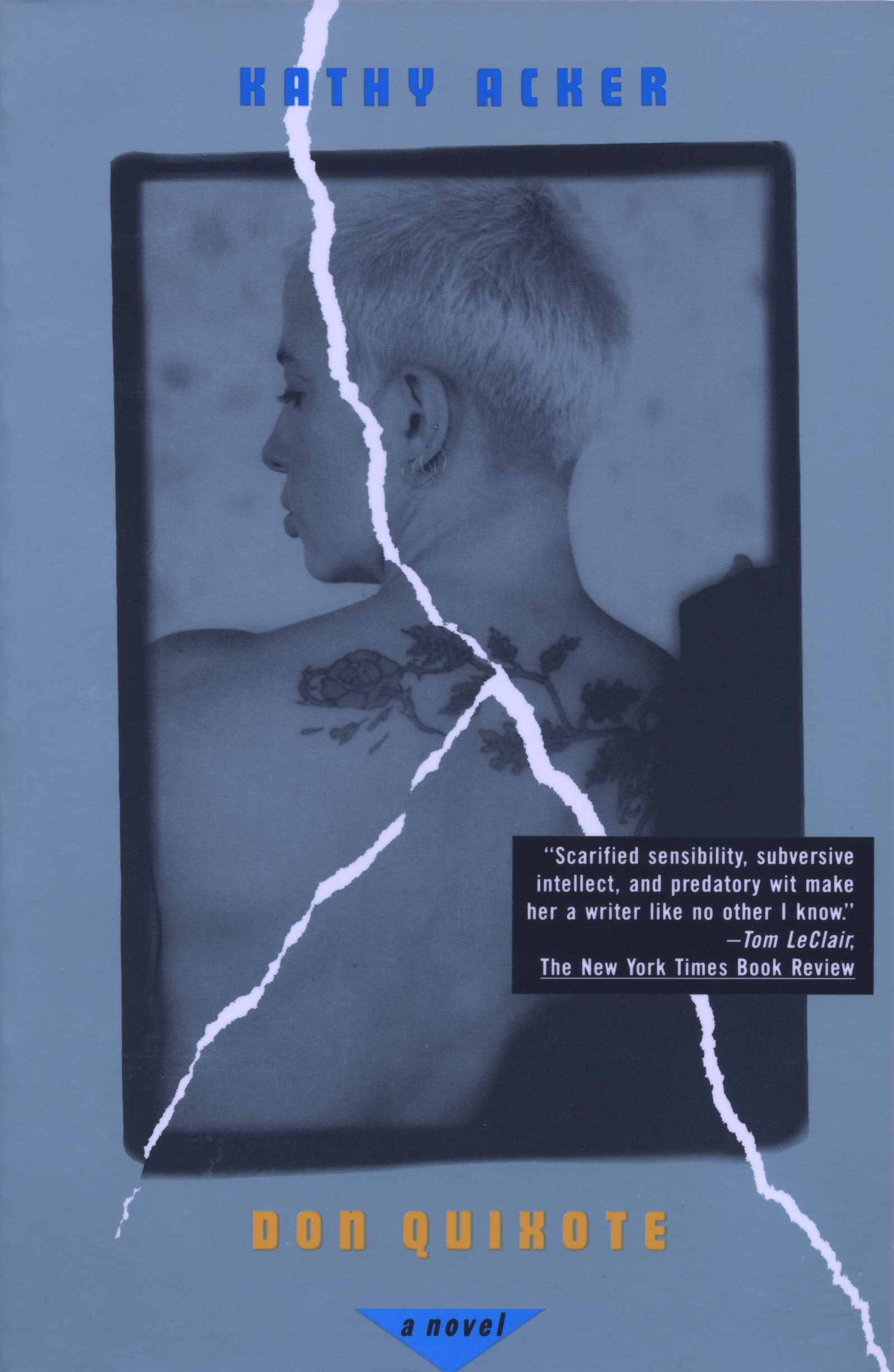 Don Quixote By Kathy Acker