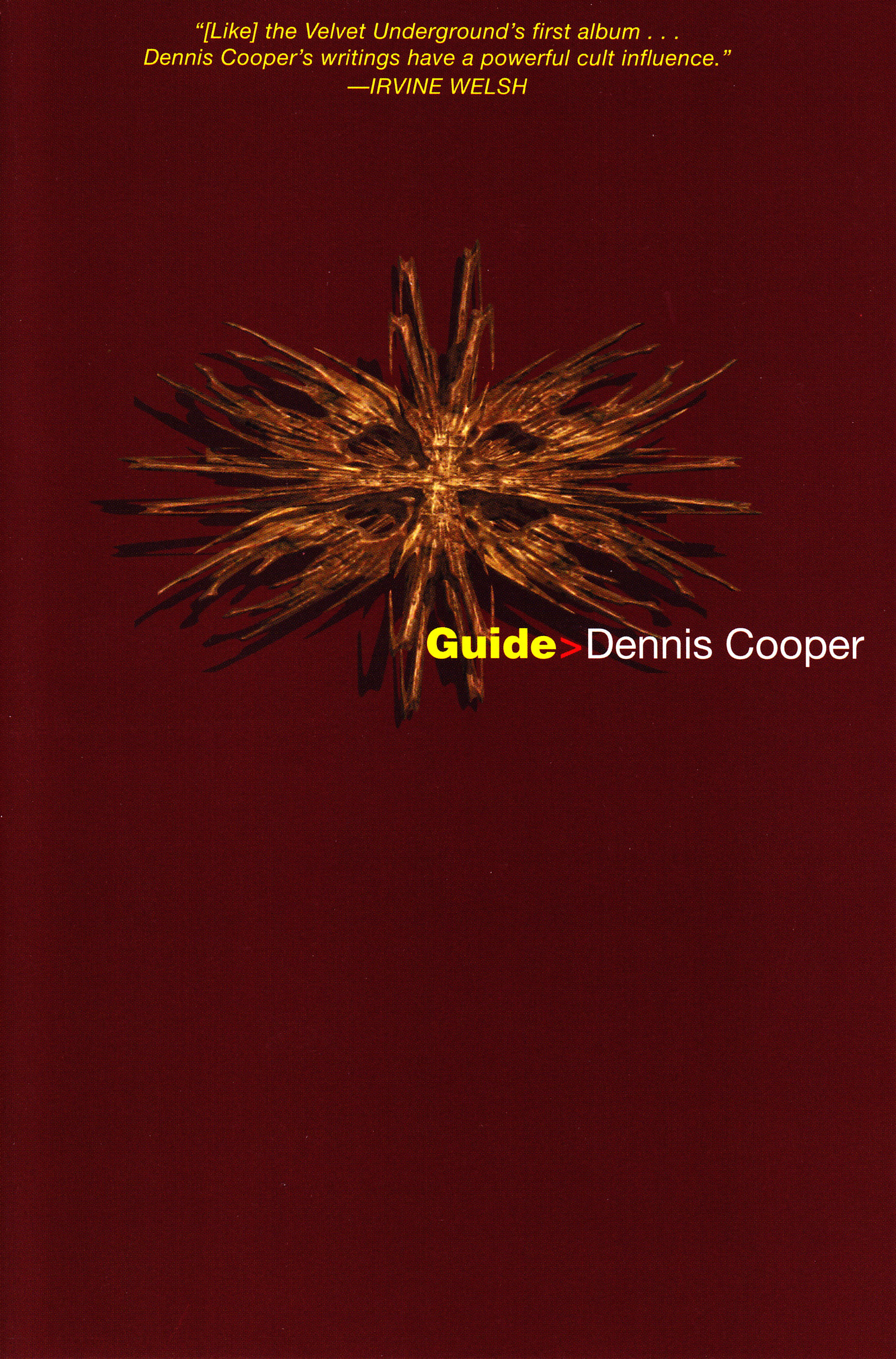 Guide By Dennis Cooper