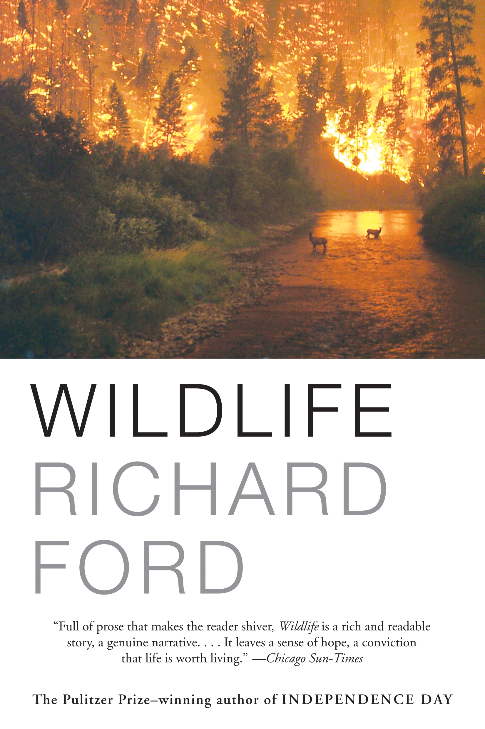 Wildlife By Richard Ford