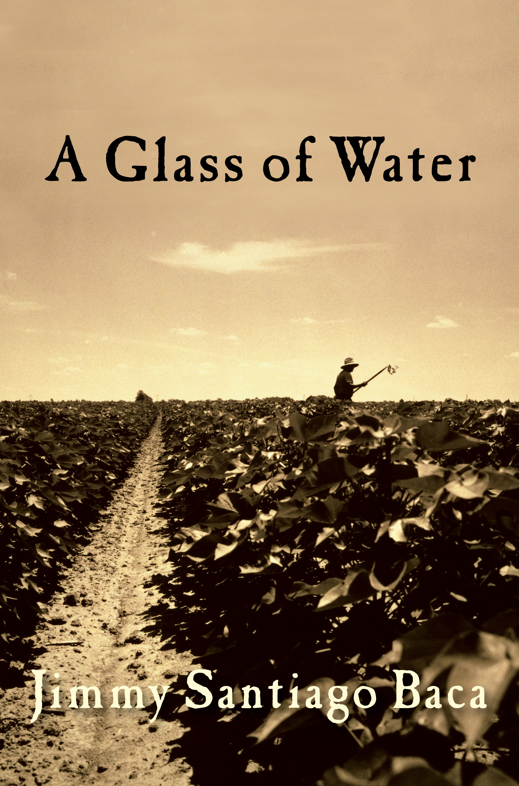 A Glass of Water By Jimmy Santiago Baca